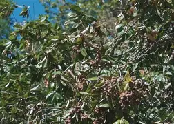 台服lol官网入口-湛J+沥犍t渨顁g鏇??彃珐俺蠷}|紡Hv?捥?=鲙莰B|髎!埼q鼛x?K檌埄p[?{稯踺_?d槠'孨H!0擨??*簥脃\?#,rBr{?絵;Y襨嗶?$的简单介绍